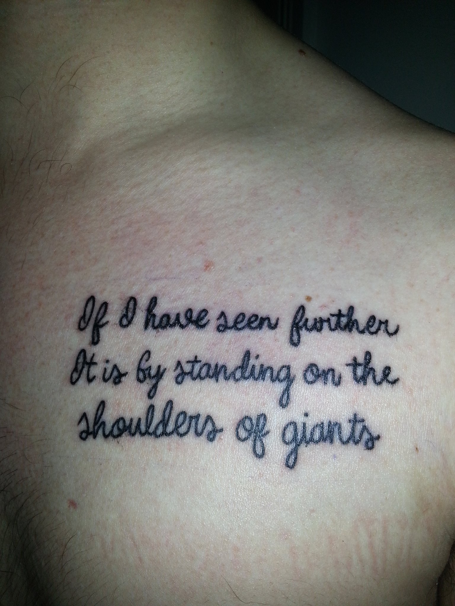 Tattoo picture: 'If I have seen further, it is by standing on the shoulders of giants"