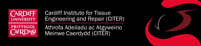 Cardiff Institute of Tissue Engineering and Repair logo